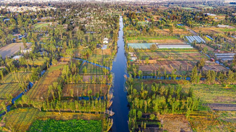Cómo llegar a Xochimilco en metro y Tren Ligero